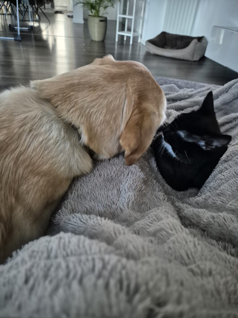 Rosi und Paula kuscheln zusammen